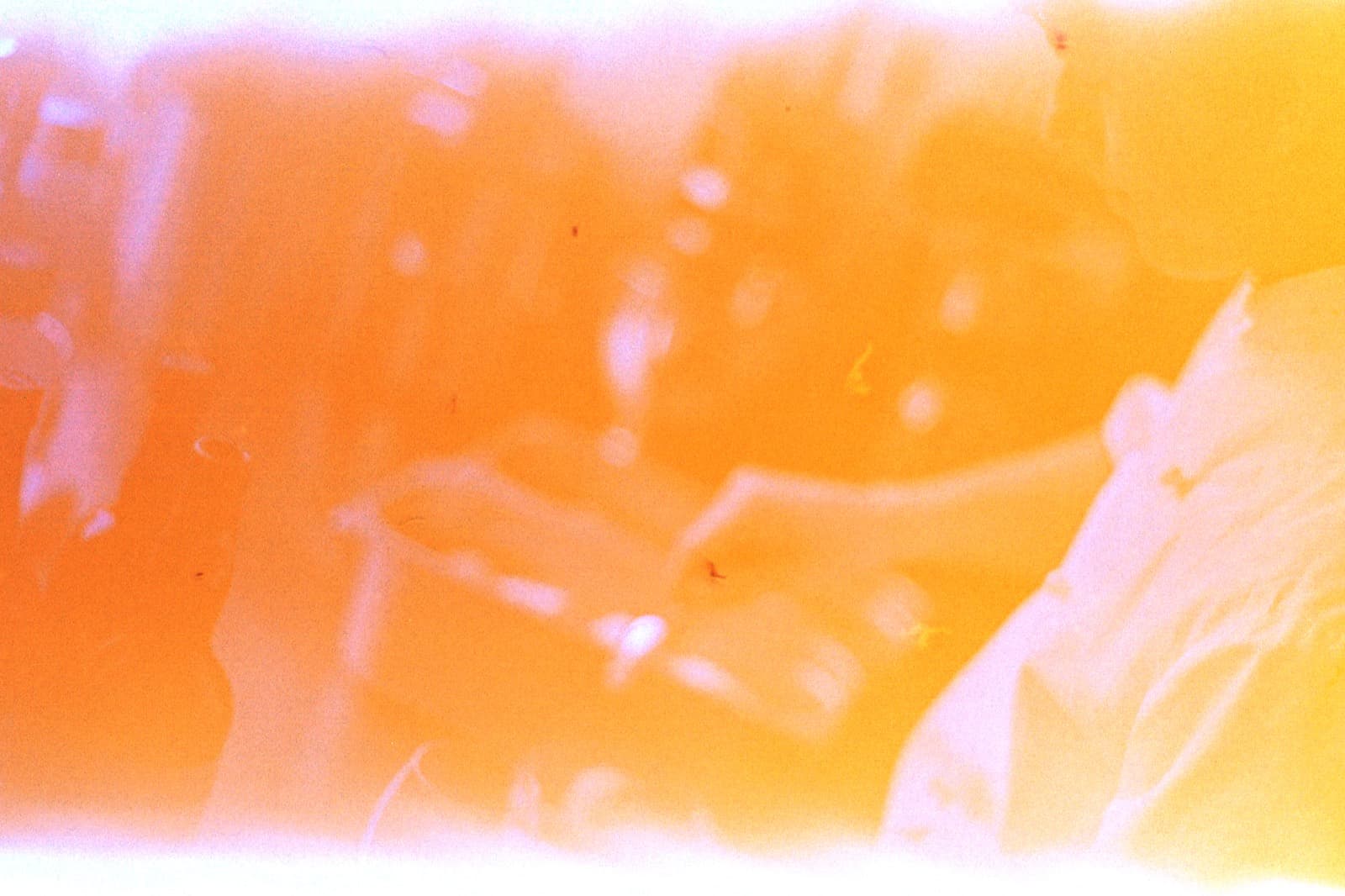 Gelatokantiner i Capanna Verdes kök